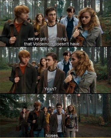 1052d11b18_79833857_o2